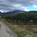 Mai 2017 Stage adulte M Les Arts 6